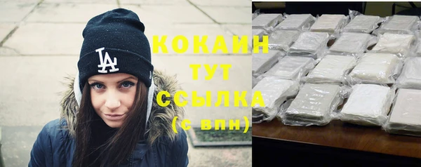 ГАЛЛЮЦИНОГЕННЫЕ ГРИБЫ Каменка