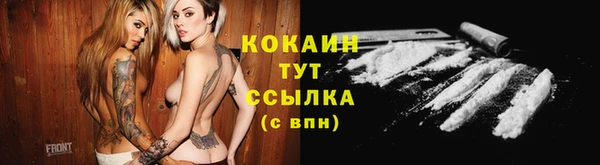 эйфоретик Каменногорск
