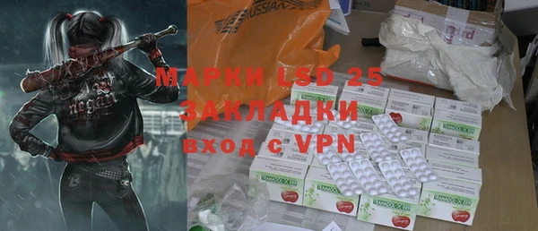 ГАЛЛЮЦИНОГЕННЫЕ ГРИБЫ Каменка